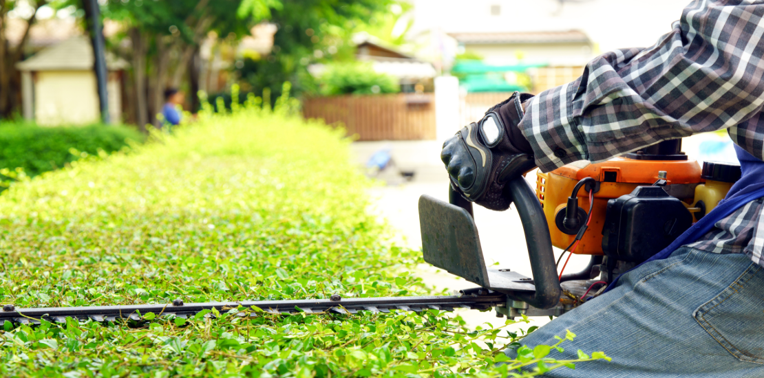 Hedge Clippers Safety Guide Plano TX McKinney TX